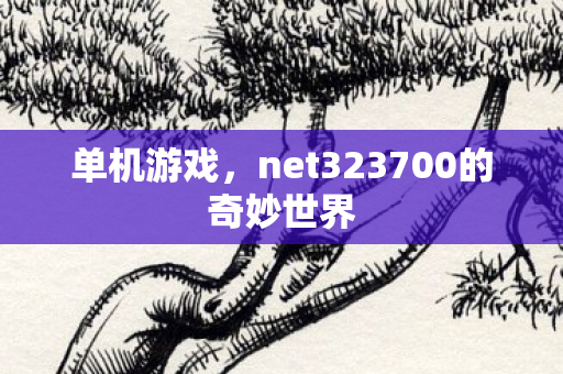 单机游戏，net323700的奇妙世界