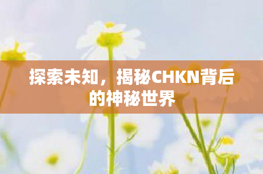 探索未知，揭秘CHKN背后的神秘世界