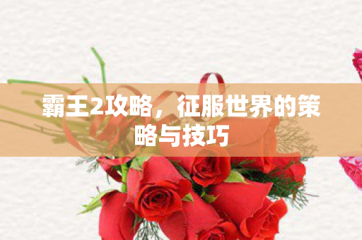 霸王2攻略，征服世界的策略与技巧