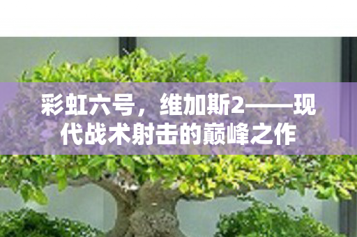 彩虹六号，维加斯2——现代战术射击的巅峰之作