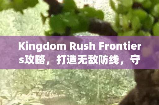 Kingdom Rush Frontiers攻略，打造无敌防线，守护你的王国
