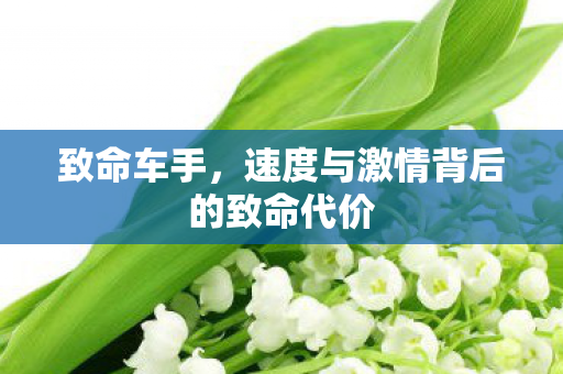 致命车手，速度与激情背后的致命代价