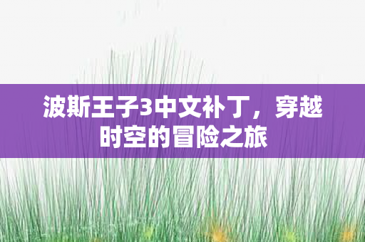 波斯王子3中文补丁，穿越时空的冒险之旅