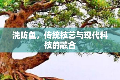 洗防鱼，传统技艺与现代科技的融合