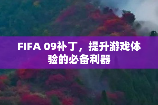 FIFA 09补丁，提升游戏体验的必备利器