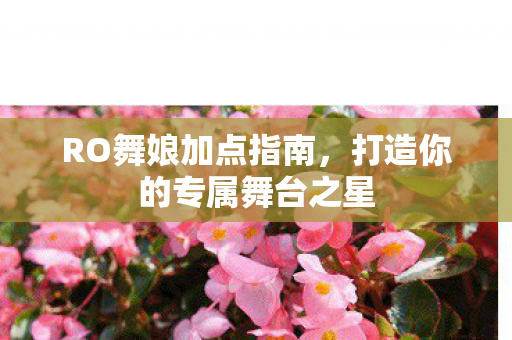RO舞娘加点指南，打造你的专属舞台之星