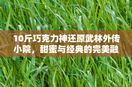 10斤巧克力神还原武林外传小院，甜蜜与经典的完美融合