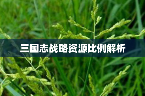 三国志战略资源比例解析