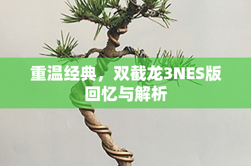 重温经典，双截龙3NES版回忆与解析