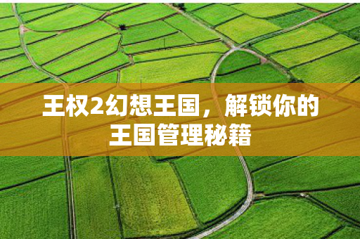 王权2幻想王国,解锁你的王国管理秘籍 王权2幻想王国,解锁你的王国管理秘籍