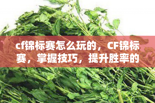 cf锦标赛怎么玩的图片