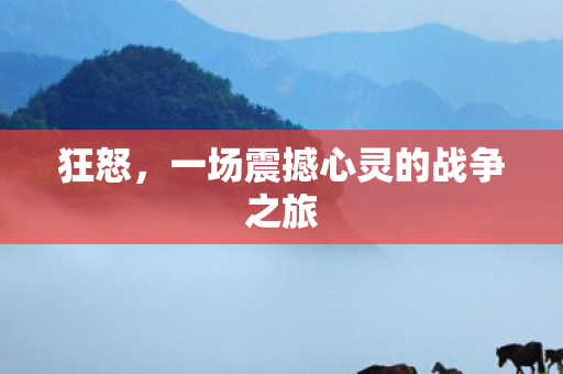 狂怒，一场震撼心灵的战争之旅