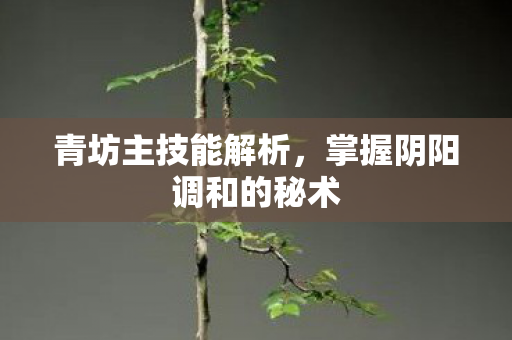 青坊主技能解析，掌握阴阳调和的秘术