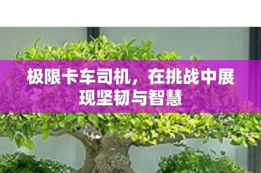 极限卡车司机，在挑战中展现坚韧与智慧