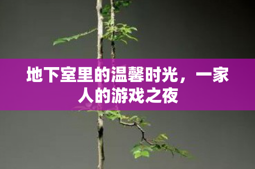 地下室里的温馨时光，一家人的游戏之夜