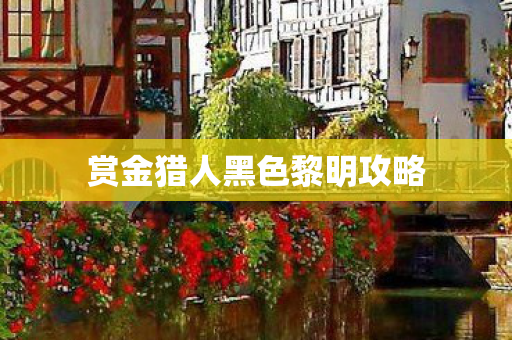 赏金猎人黑色黎明攻略