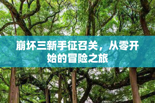 崩坏三新手征召关，从零开始的冒险之旅