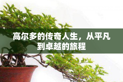 高尔多的传奇人生，从平凡到卓越的旅程