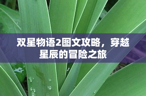 双星物语2图文攻略，穿越星辰的冒险之旅