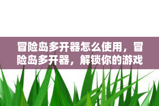 冒险岛多开器怎么使用图片