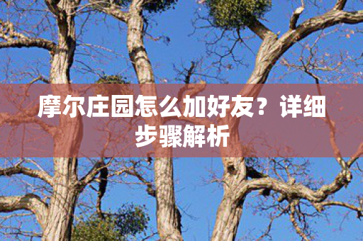 摩尔庄园怎么加好友？详细步骤解析