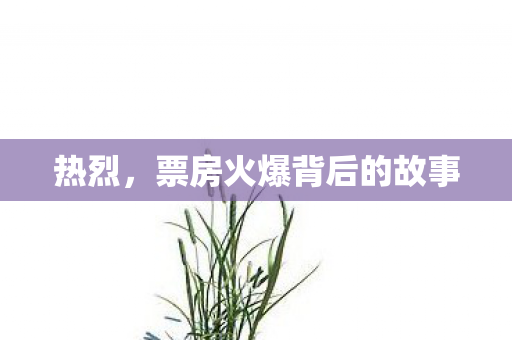 热烈，票房火爆背后的故事