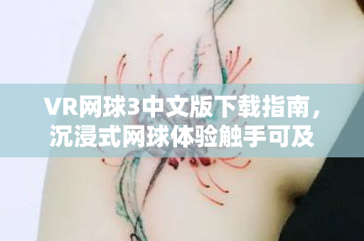 VR网球3中文版下载指南，沉浸式网球体验触手可及
