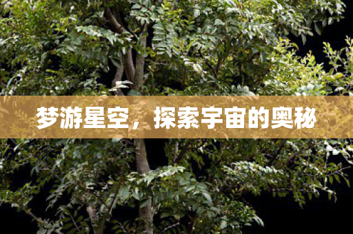 梦游星空,探索宇宙的奥秘 梦游星空,探索宇宙的奥秘