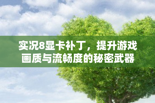实况8显卡补丁，提升游戏画质与流畅度的秘密武器