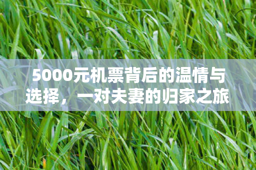 5000元机票背后的温情与选择，一对夫妻的归家之旅