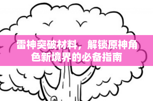 雷神突破材料,解锁原神角色新境界的必备指南 雷神突破材料,解锁原神角色新境界的必备指南