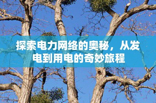 探索电力网络的奥秘，从发电到用电的奇妙旅程