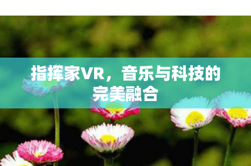 指挥家VR，音乐与科技的完美融合