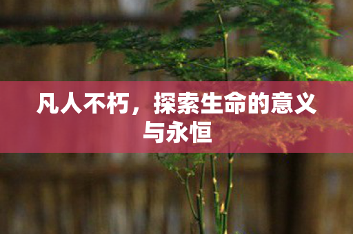 凡人不朽，探索生命的意义与永恒