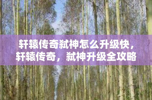 轩辕传奇弑神怎么升级快图片