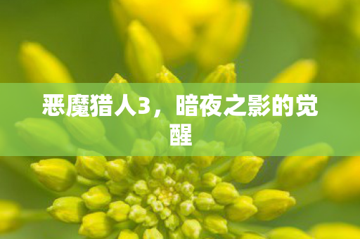 恶魔猎人3，暗夜之影的觉醒