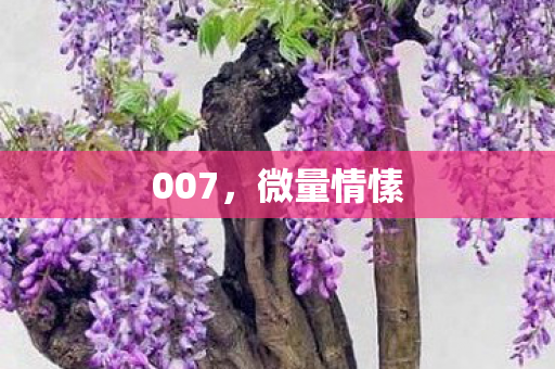 007，微量情愫