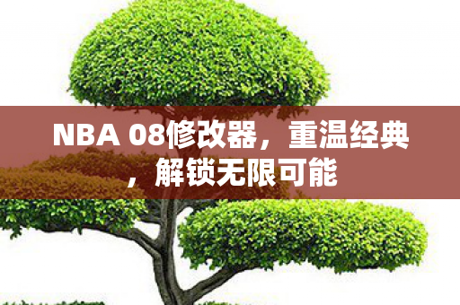 NBA 08修改器，重温经典，解锁无限可能