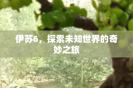 伊苏6，探索未知世界的奇妙之旅
