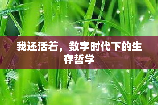 我还活着,数字时代下的生存哲学 我还活着,数字时代下的生存哲学