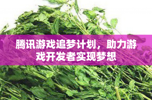 腾讯游戏追梦计划，助力游戏开发者实现梦想