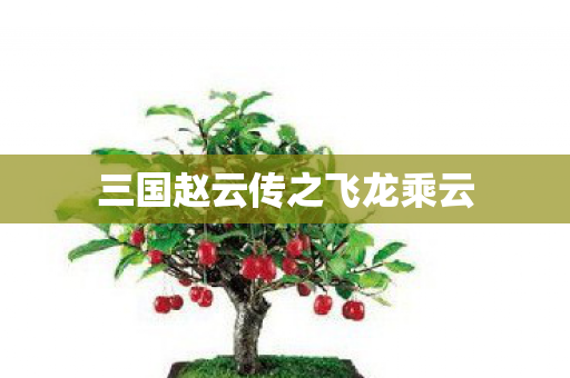 三国赵云传之飞龙乘云