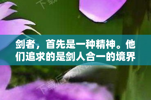 剑者，首先是一种精神。他们追求的是剑人合一的境界，将剑法融入生活，将生活融入剑法。在剑者的眼中，剑不仅是武器，更是心灵的寄托。他们常常在月下舞剑，或是在风中吟咏剑法，那份从容与洒脱，令人向往