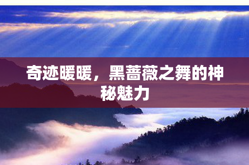 奇迹暖暖,黑蔷薇之舞的神秘魅力 奇迹暖暖,黑蔷薇之舞的神秘魅力