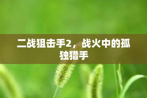 二战狙击手2，战火中的孤独猎手
