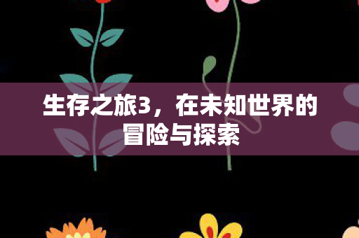 生存之旅3，在未知世界的冒险与探索