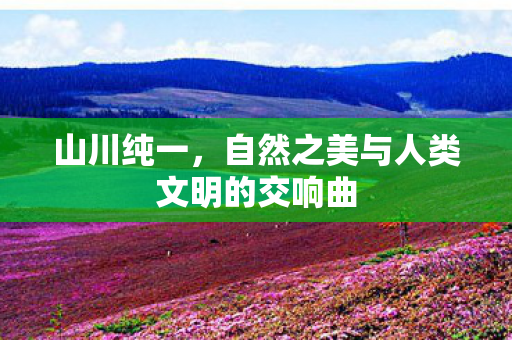 山川纯一，自然之美与人类文明的交响曲