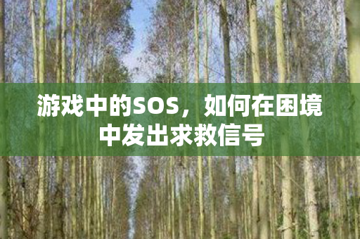 游戏中的SOS，如何在困境中发出求救信号