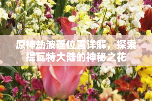 原神劫波莲位置详解，探索提瓦特大陆的神秘之花