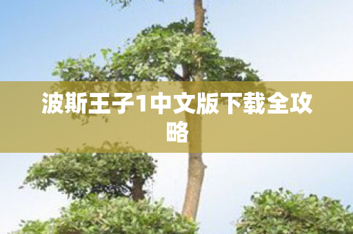 波斯王子1中文版下载全攻略